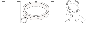 HOLO Leather — kink vendor and BDSM gear