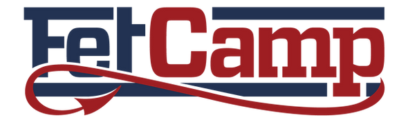 Promotional image for FetCamp